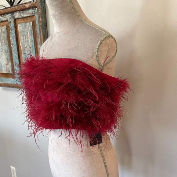 Magnolia Red Feathered Tube Top - Picture 3 of 13